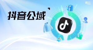 案例集锦 | 数云抖音公域运营方案含金量？来看这5个新鲜出炉的双11案例！